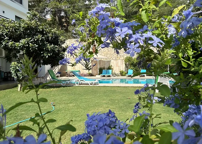 White ıçmeler * Marmaris